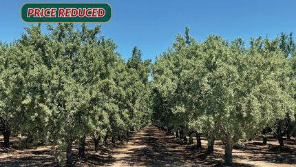 Farm and Ranch for sale in Kern County, California