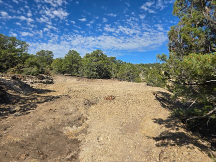 Undeveloped Land for sale in Duchesne County, Utah