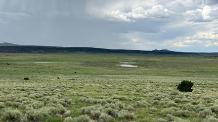 Recreational Property in Catron County, New Mexico