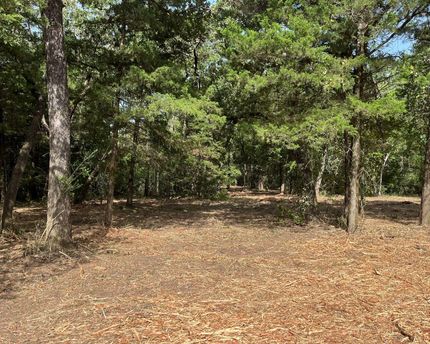 Undeveloped Land in Freestone County, Texas