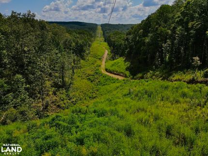 Timberland Property in Walker County, Alabama