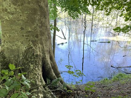 Land in Union County, South Carolina