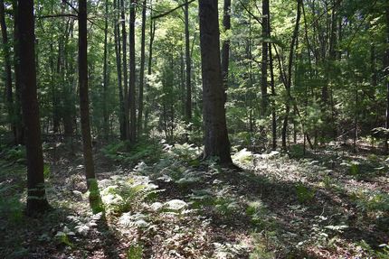 Farm and Ranch in Marinette County, Wisconsin