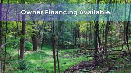 Timberland Property in Ashe County, North Carolina