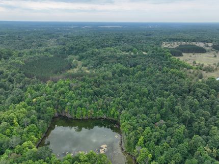 Timberland Property in Antrim County, Michigan