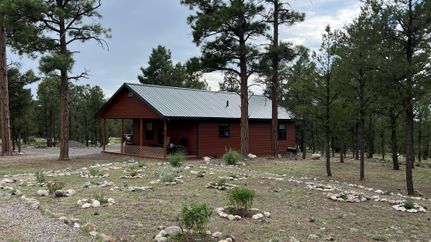 Farm and Ranch in Catron County, New Mexico