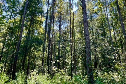 Land in Saint Helena Parish, Louisiana