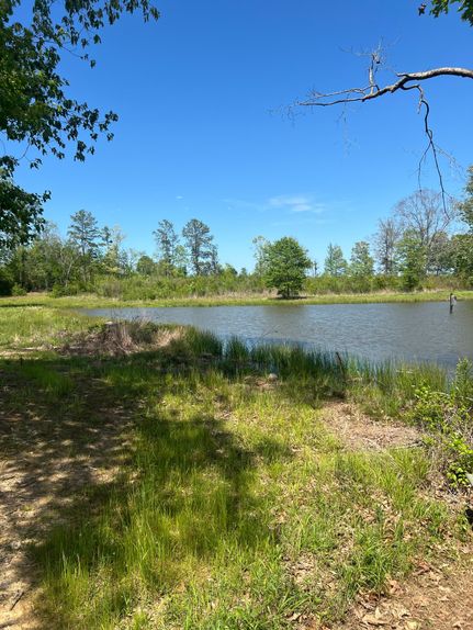 Undeveloped Land in Amite County, Mississippi