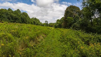 Undeveloped Land in Carroll County, Virginia