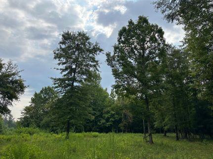 Farm and Ranch in Butler County, Alabama