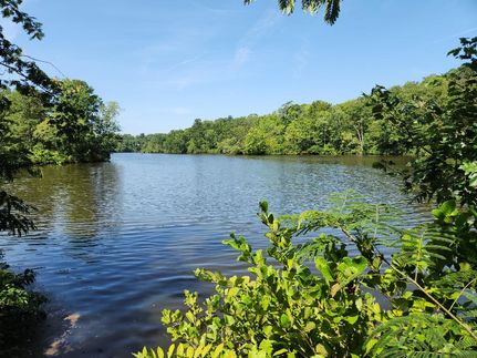 Timberland Property in James City County, Virginia
