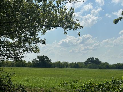 Undeveloped Land in Hopkins County, Texas