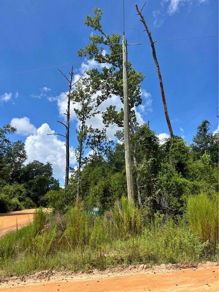 Homesite for sale in Jackson County, Florida