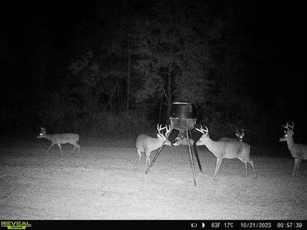 Land in Claiborne County, Mississippi