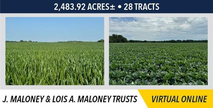 Undeveloped Land in McDonough County, Illinois