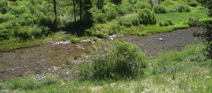 Farm and Ranch in Madison County, Montana