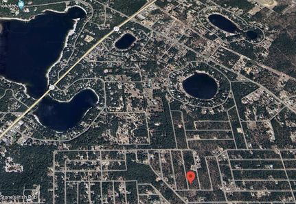 Farm and Ranch in Clay County, Florida