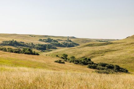 Undeveloped Land in Grant County, North Dakota
