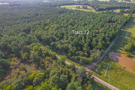 Timberland Property in Henderson County, Texas