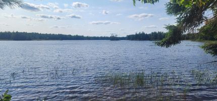 Undeveloped Land in Washington County, Maine