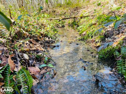 Recreational Property in Pender County, North Carolina