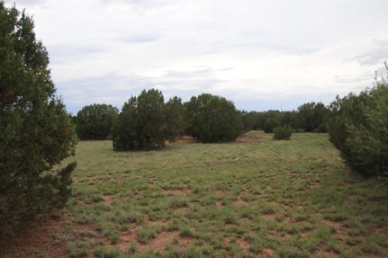 Farm and Ranch in Apache County, Arizona