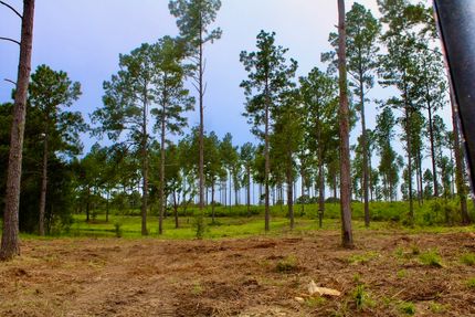 Timberland Property in Walthall County, Mississippi