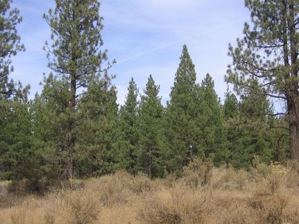 Undeveloped Land in Klamath County, Oregon
