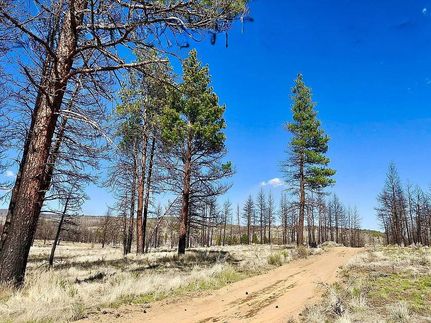 Riverfront Property in Klamath County, Oregon