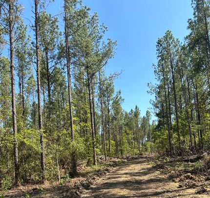 Farm and Ranch in Rankin County, Mississippi