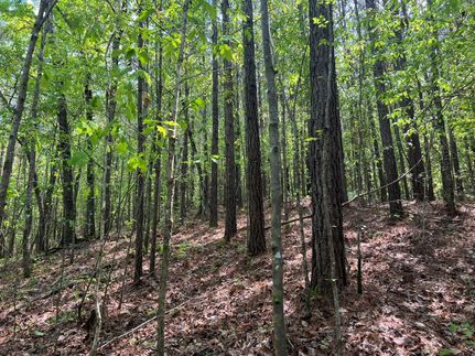Timberland Property in Saint Clair County, Alabama