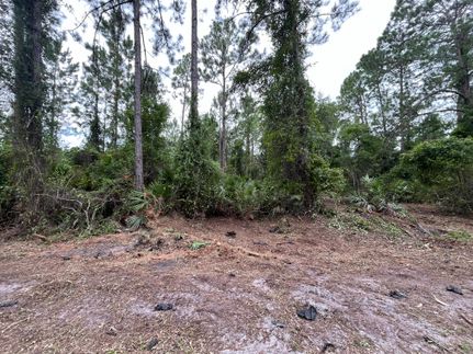 Farm and Ranch for sale in Putnam County, Florida