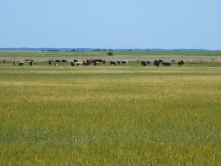 Farm and Ranch for sale in Grant County, Oklahoma