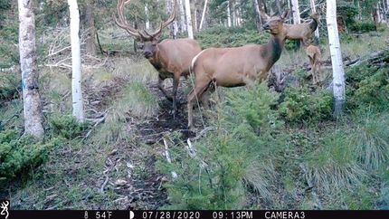 Recreational Property for sale in Rio Grande County, Colorado