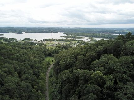 Timberland Property in Hawkins County, Tennessee
