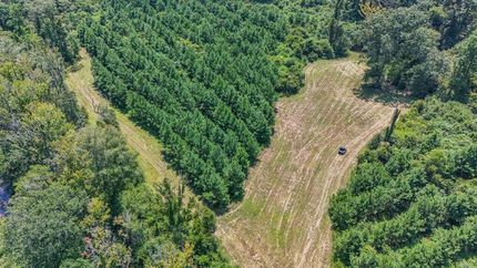 Farm and Ranch in Amite County, Mississippi