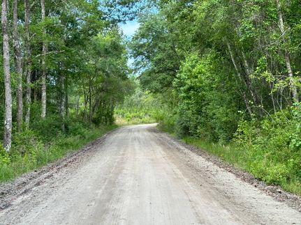 Timberland Property in Madison County, Florida
