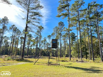 Farm and Ranch in Orangeburg County, South Carolina