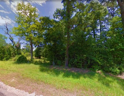 Undeveloped Land in San Jacinto County, Texas