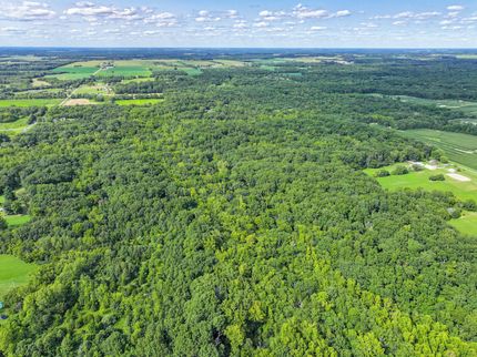 Timberland Property in Marion County, Illinois