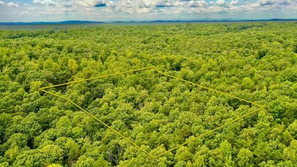 Timberland Property in Louisa County, Virginia