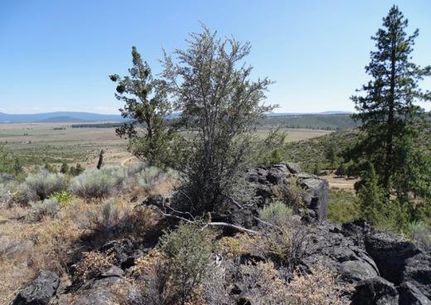 Undeveloped Land in Klamath County, Oregon