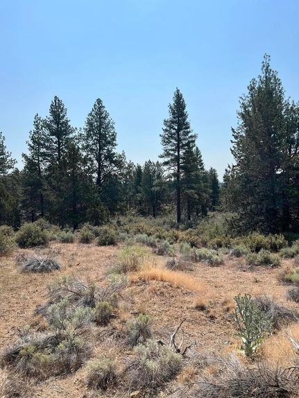 Undeveloped Land in Klamath County, Oregon