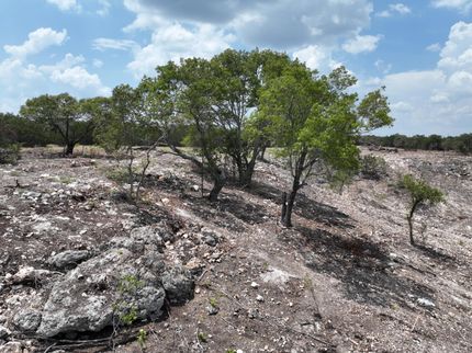 Hunting Property in Hamilton County, Texas