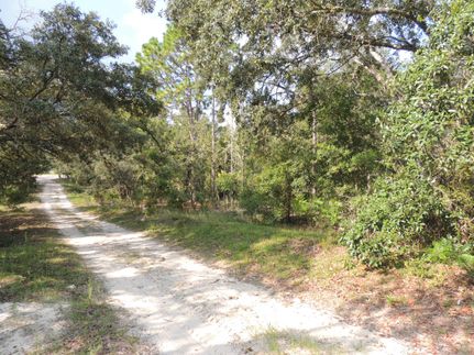 Land for sale in Levy County, Florida