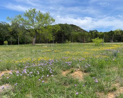 Undeveloped Land in Eastland County, Texas
