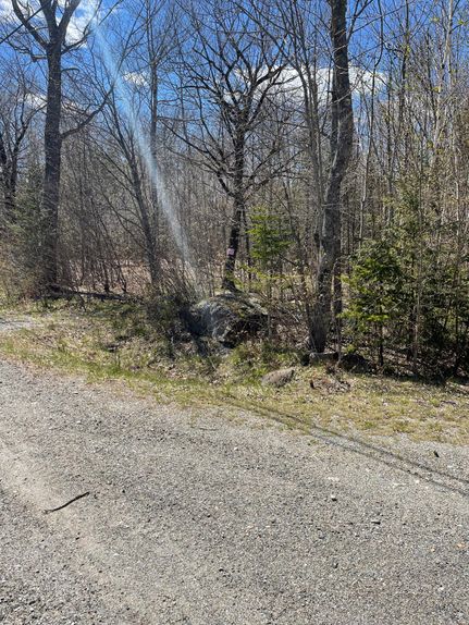 Undeveloped Land in Hancock County, Maine