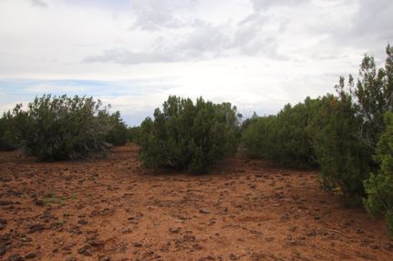 Undeveloped Land in Apache County, Arizona