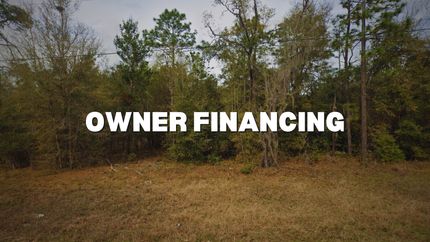 Undeveloped Land in Putnam County, Florida