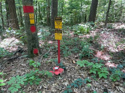 Undeveloped Land in Lawrence County, Alabama